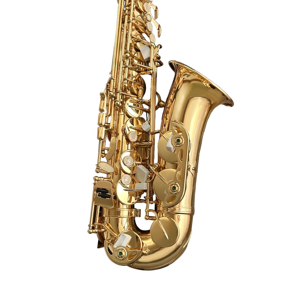 Beginner Alto Saxophone, E Flat - Complete Starter Kit with Case & 10 Reeds, for Adults & Students, Easy to Play for School Band & Practice(Gold)