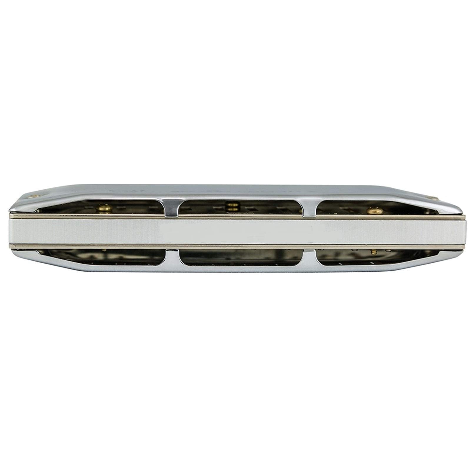 580/20 Diatonic Harmonica for MS Series Diatonic 10 Holes Mouth Organ Key C Musical Instruments Armonica Blues (Color : Key Bb)