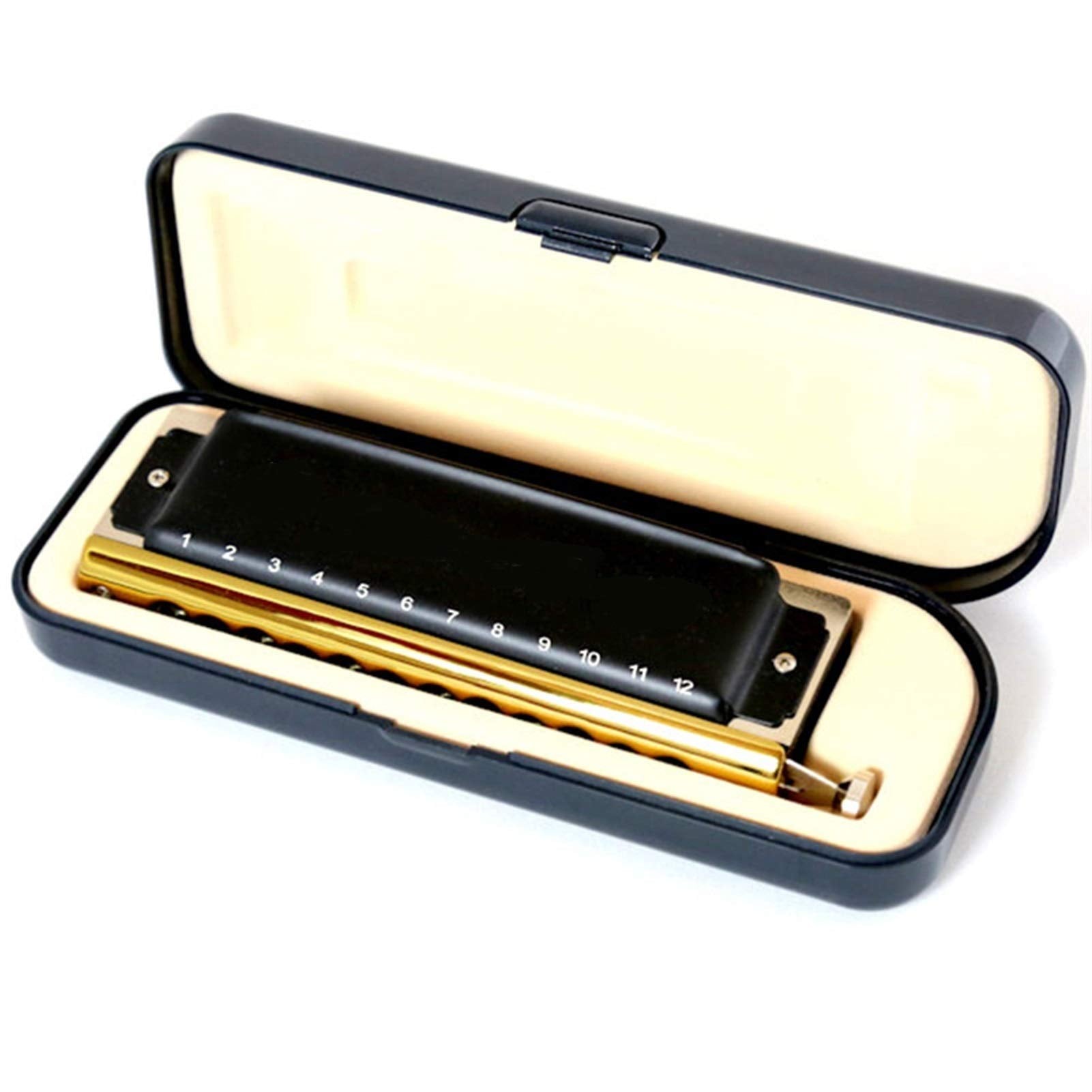 Harmonica 12 Holes Diatonic Harp Instrumento Mouth Organ Musical Instruments Windwood