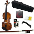 Paititi 1/10 Size Artist-100 Student Violin Starter Kit with Brazilwood Bow Lightweight Case, Extra Strings and Rosin