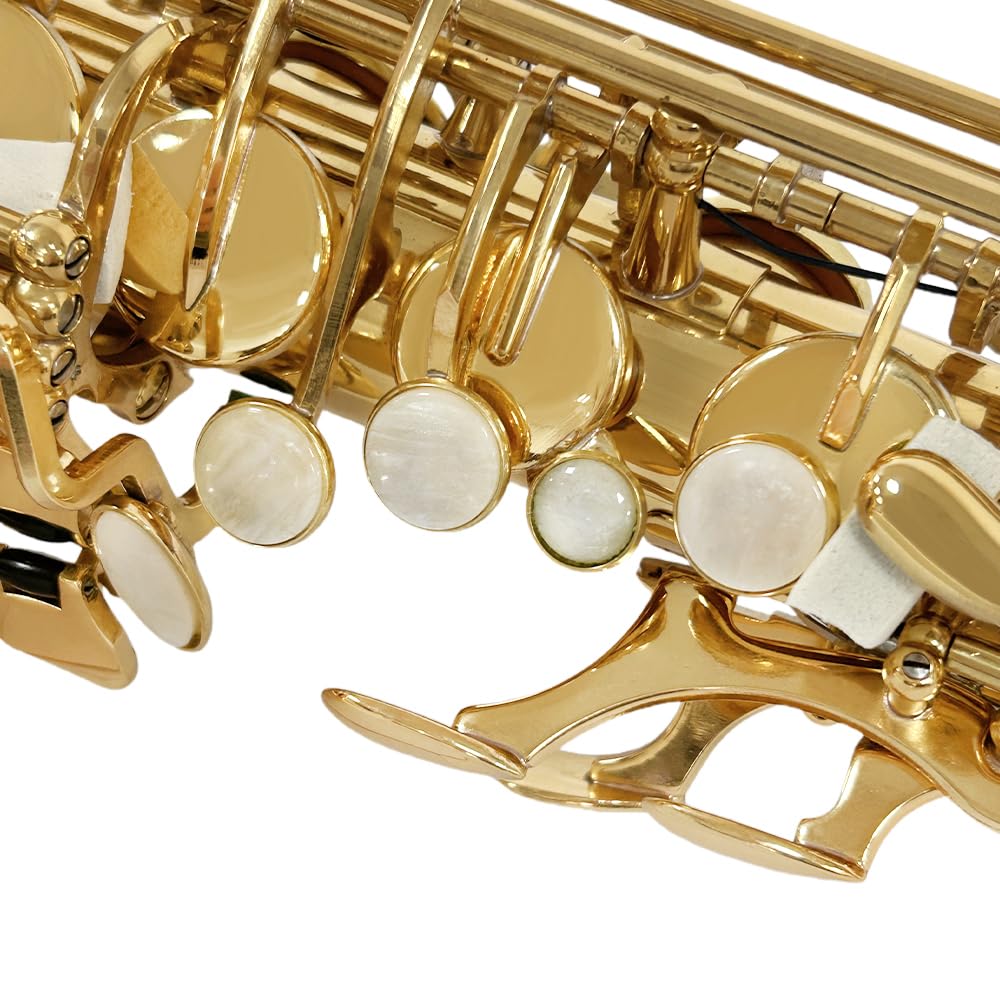 Yinfente Eb Alto Saxophone For Beginners Adult,Saxophone Student,E Flat Alto Sax Full Kit With Reeds,Pads Cushions,Hard Carrying Case,Cleaning Cloth & Rod,Mouthpiece,Gloves,Neck Strap Gold