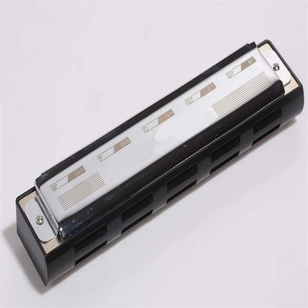 Chord Harmonica 10 Holes Pocket Chord Orchestral Mouth Organ Professional Performance Musical Instruments