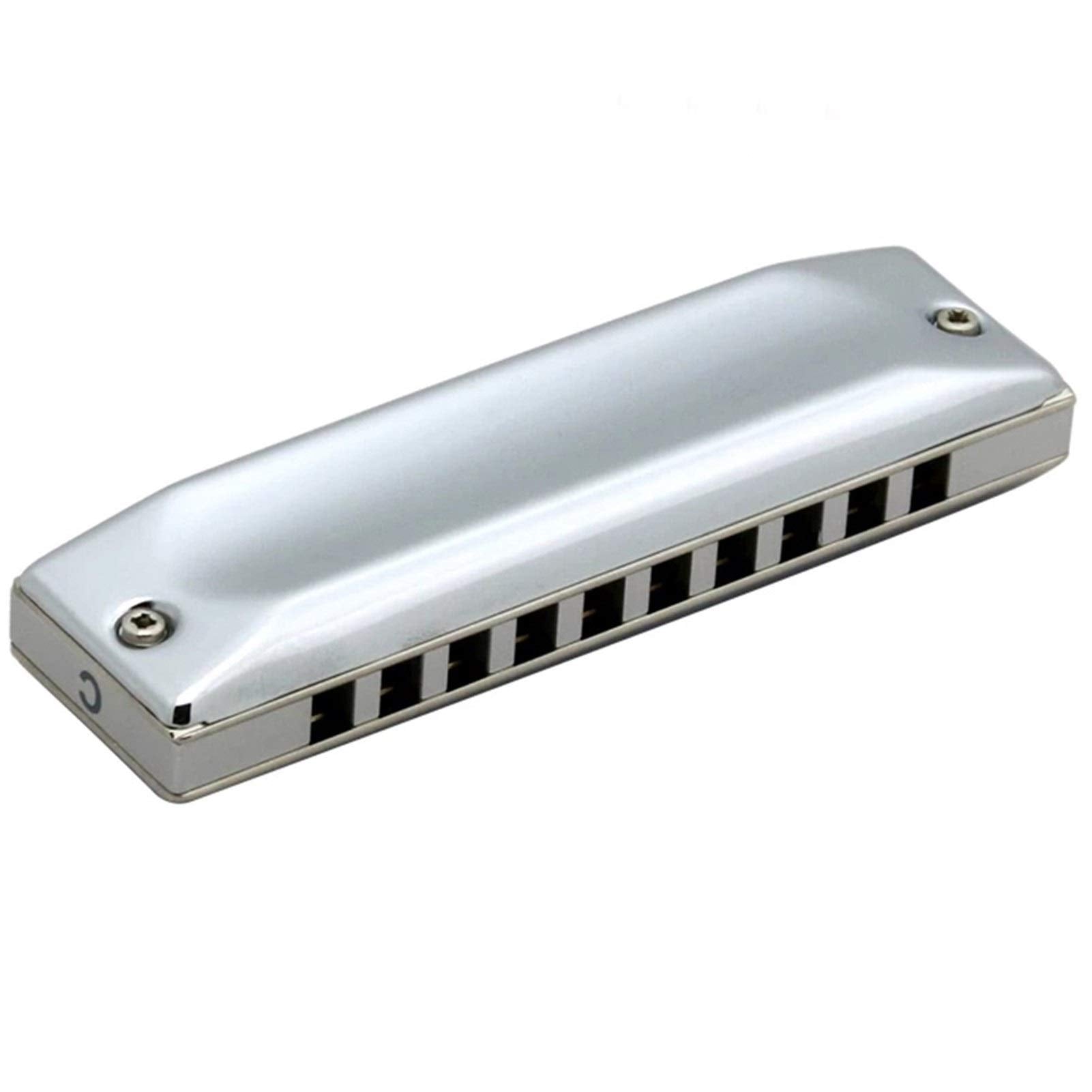 580/20 Diatonic Harmonica for MS Series Diatonic 10 Holes Mouth Organ Key C Musical Instruments Armonica Blues (Color : Key Bb)