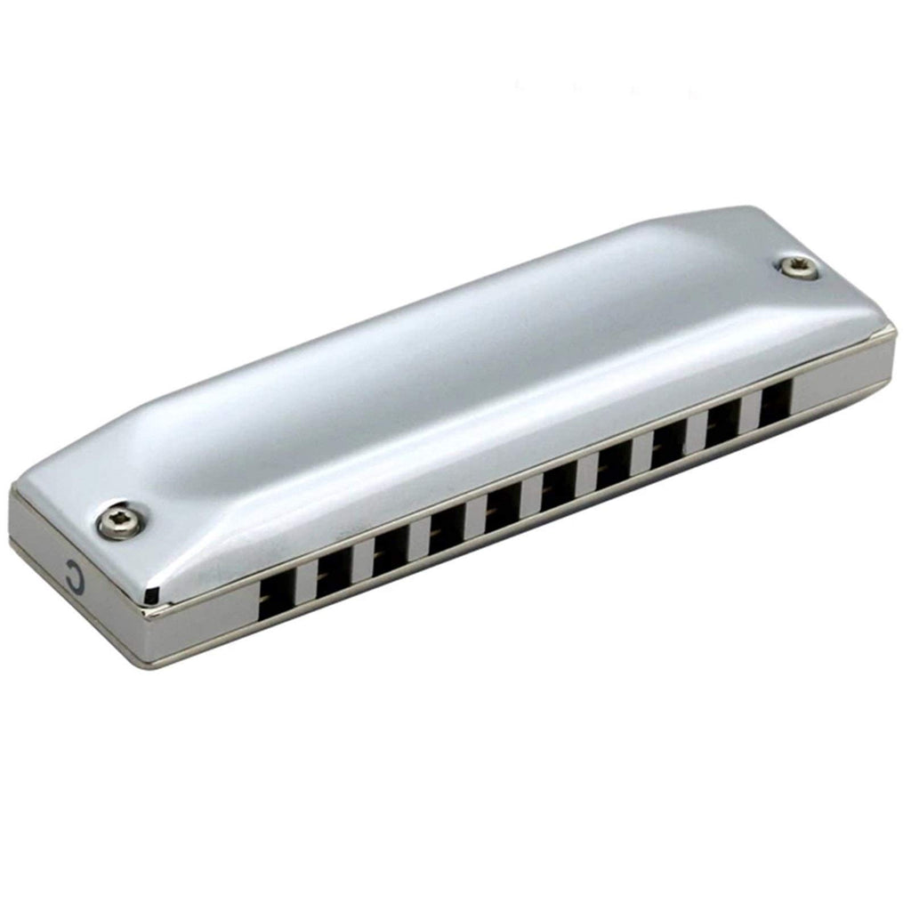 580/20 Diatonic Harmonica for MS Series Diatonic 10 Holes Mouth Organ Key C Musical Instruments Armonica Blues (Color : Key Bb)
