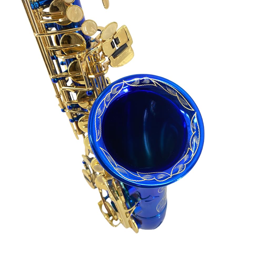 Yinfente Eb Alto Saxophone For Beginners Adult,Saxophone Student,E Flat Alto Sax Full Kit With Reeds,Pads Cushions,Hard Carrying Case,Cleaning Cloth & Rod,Mouthpiece,Gloves,Neck Strap Gold