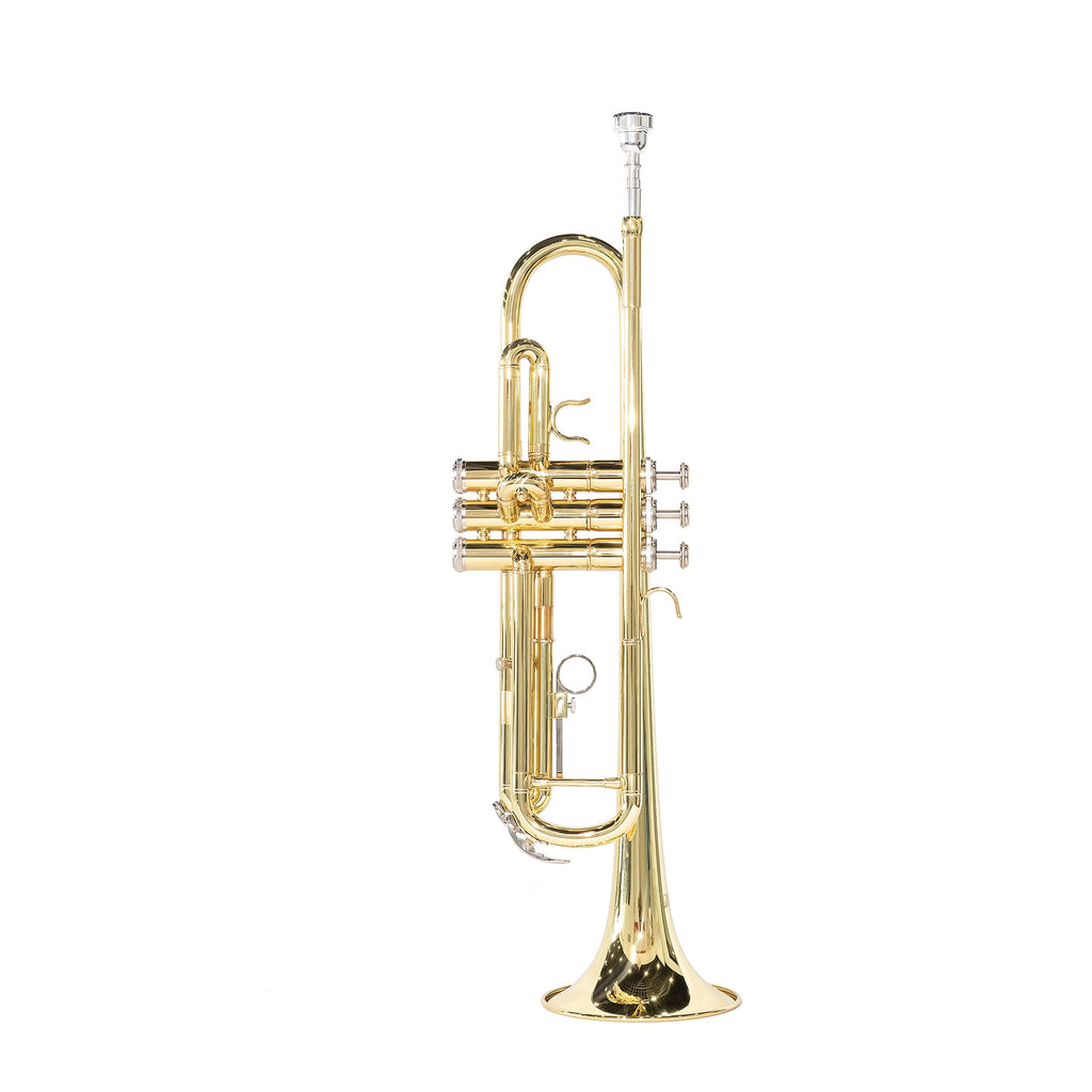 LeSage Bb Standard Trumpet Set for Beginner, Brass Student Trumpet with Carrying Case, Care Kit, Valve Oil, Cloth, 7C Mouthpiece & Gloves Silver