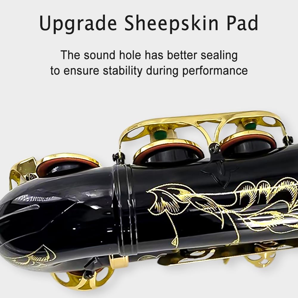 Eb Alto Saxophone Gold Lacquer Brass E-Flat Student Kit with Hard Carrying Case - Includes Mouthpiece, Reeds, Neck Strap and Gloves for School Band