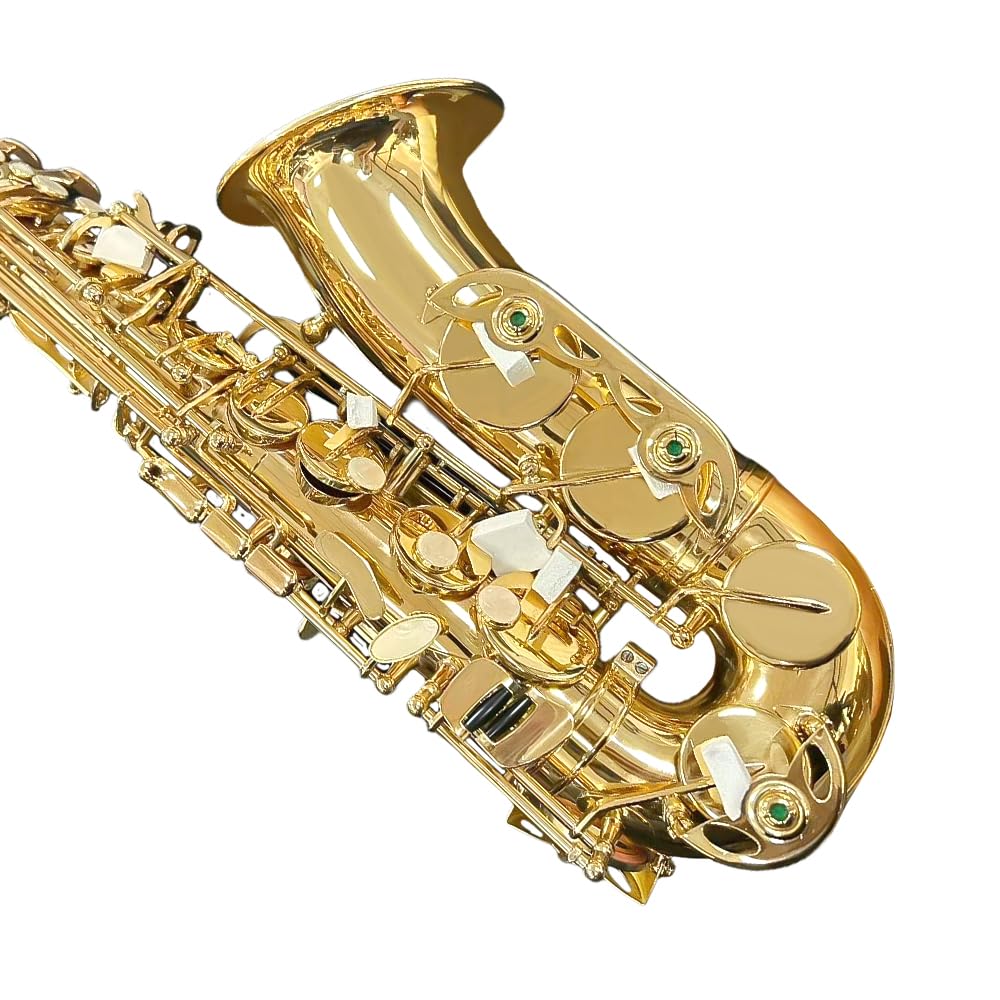 Alto Saxophone E Flat for Adults Student Sax Eb Alto Full Kit With Carrying Sax Case Mouthpiece Straps Reeds Saxophone Beginner Kit