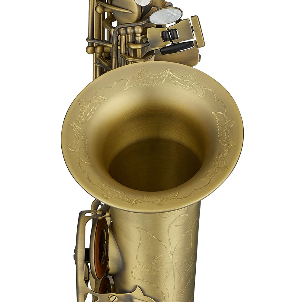 Antigua Winds PowerBell Professional Eb Alto Saxophone (Yellow brass/classic nickel plated/enlarged bell/new neck design/ergonomic design/hand engraving/ABS case)/WRAS4248CN