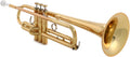 Yamaha YTR-8310ZII Professional Bb Trumpet - Gold Lacquer
