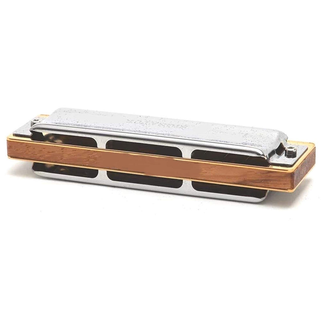 Harmonica Blues Harp Diatonic Harmonica 10 Hole 20 Tone Musical Instruments Mouth Organ Key C