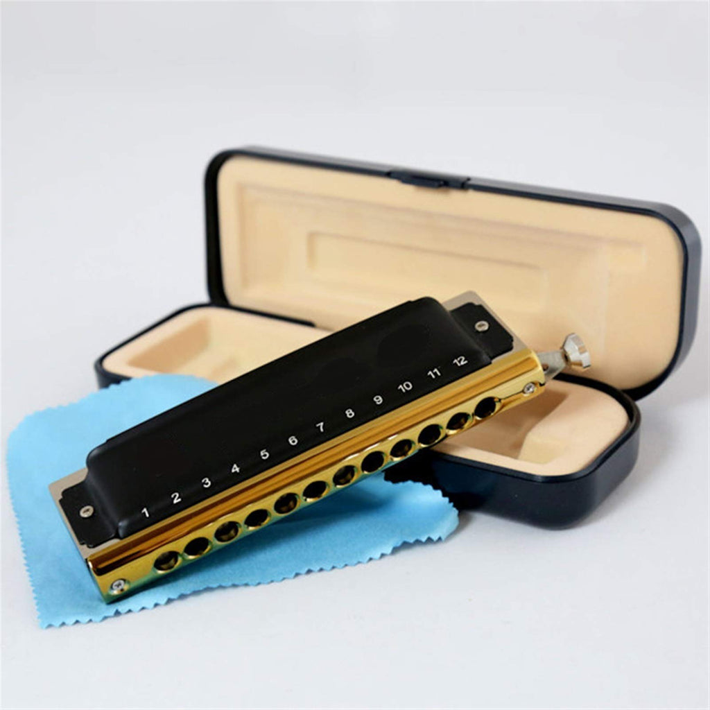 Harmonica 12 Holes Diatonic Harp Instrumento Mouth Organ Musical Instruments Windwood