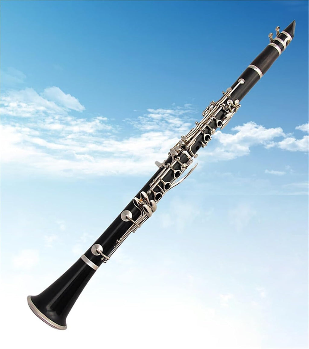 Ebony Clarinet In B Flat Key Suitable For Beginners And Examinations Clarinet Set