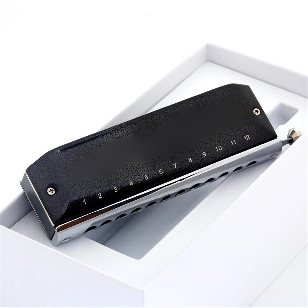 Chromatic Harmonica 12 Holes 48 Tone Mouth Organ Harp Instrumentos Key Of C/A/B/G/bB Musical Instruments Harmonica Professional (Color : C key)