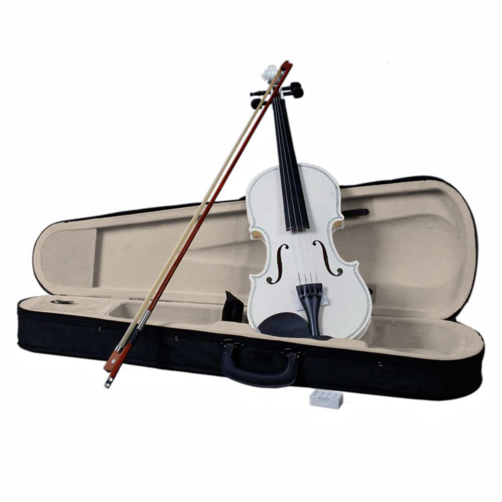 Ktaxon Violin for Beginners Students, Acoustic Violins 4/4, Full Size Fiddle Kit with Case, Bow, Rosin, Adult Teens Learners Age 11+ (Natural)
