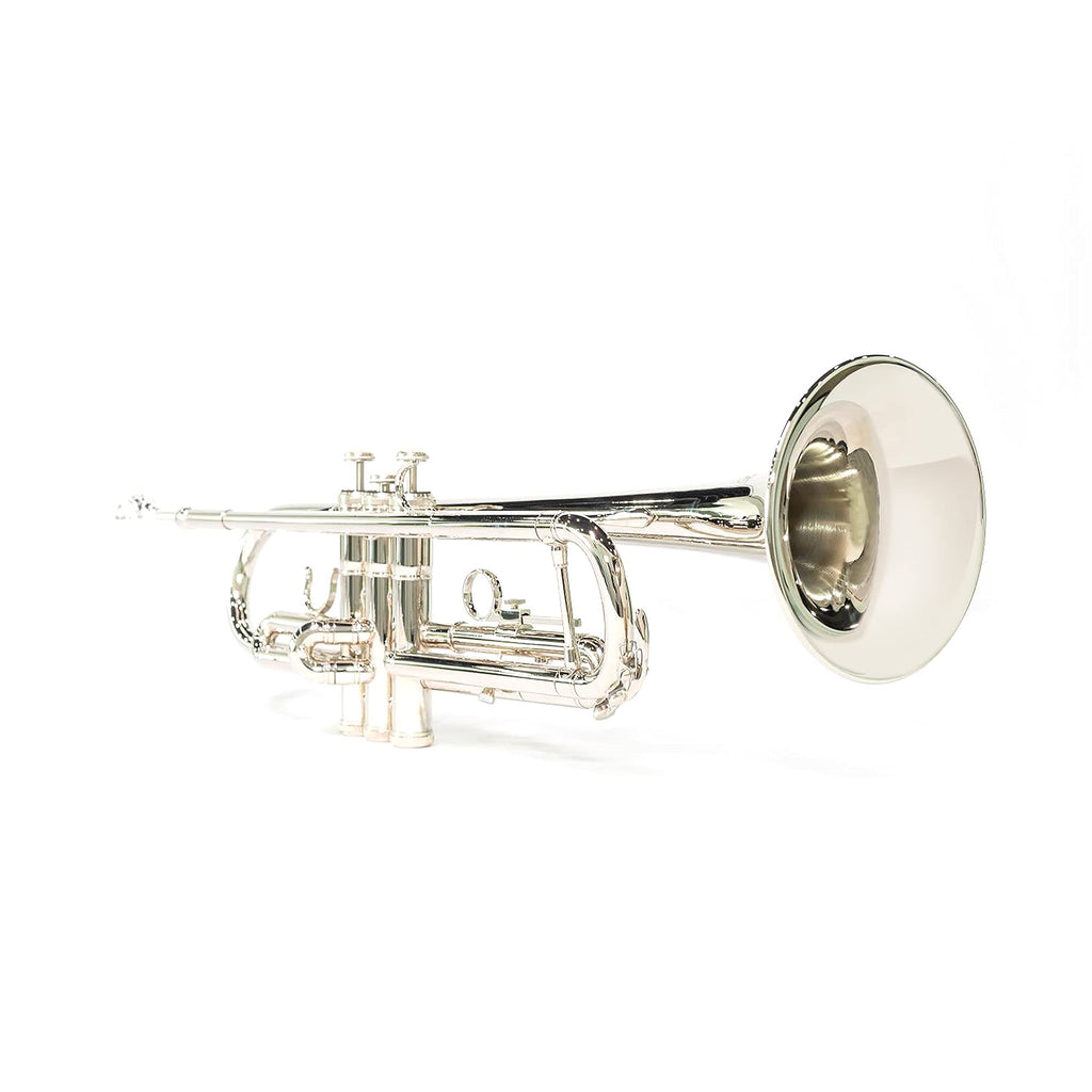 LeSage Bb Standard Trumpet Set for Beginner, Brass Student Trumpet with Carrying Case, Care Kit, Valve Oil, Cloth, 7C Mouthpiece & Gloves Silver