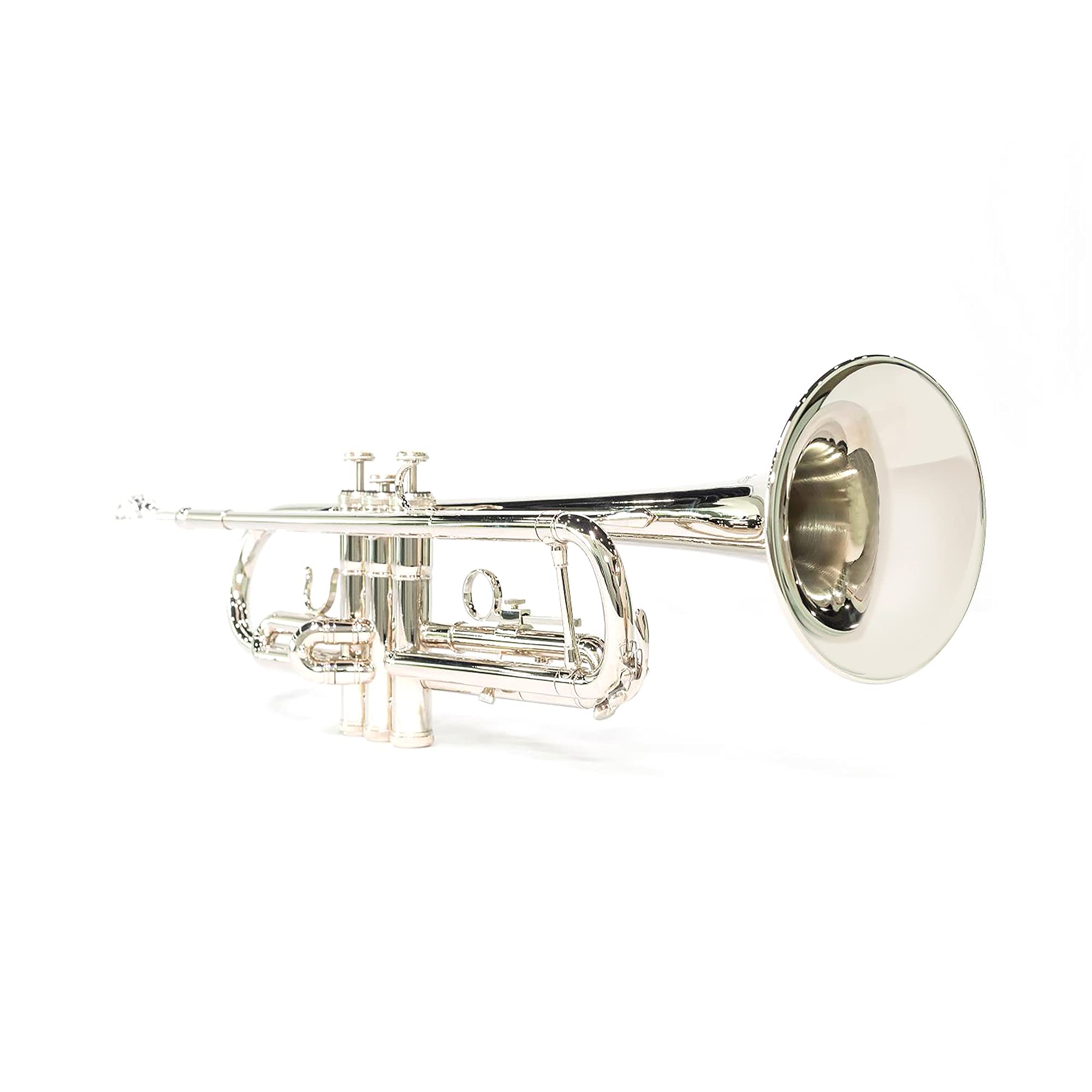 LeSage Bb Standard Trumpet Set for Beginner, Brass Student Trumpet with Carrying Case, Care Kit, Valve Oil, Cloth, 7C Mouthpiece & Gloves Silver
