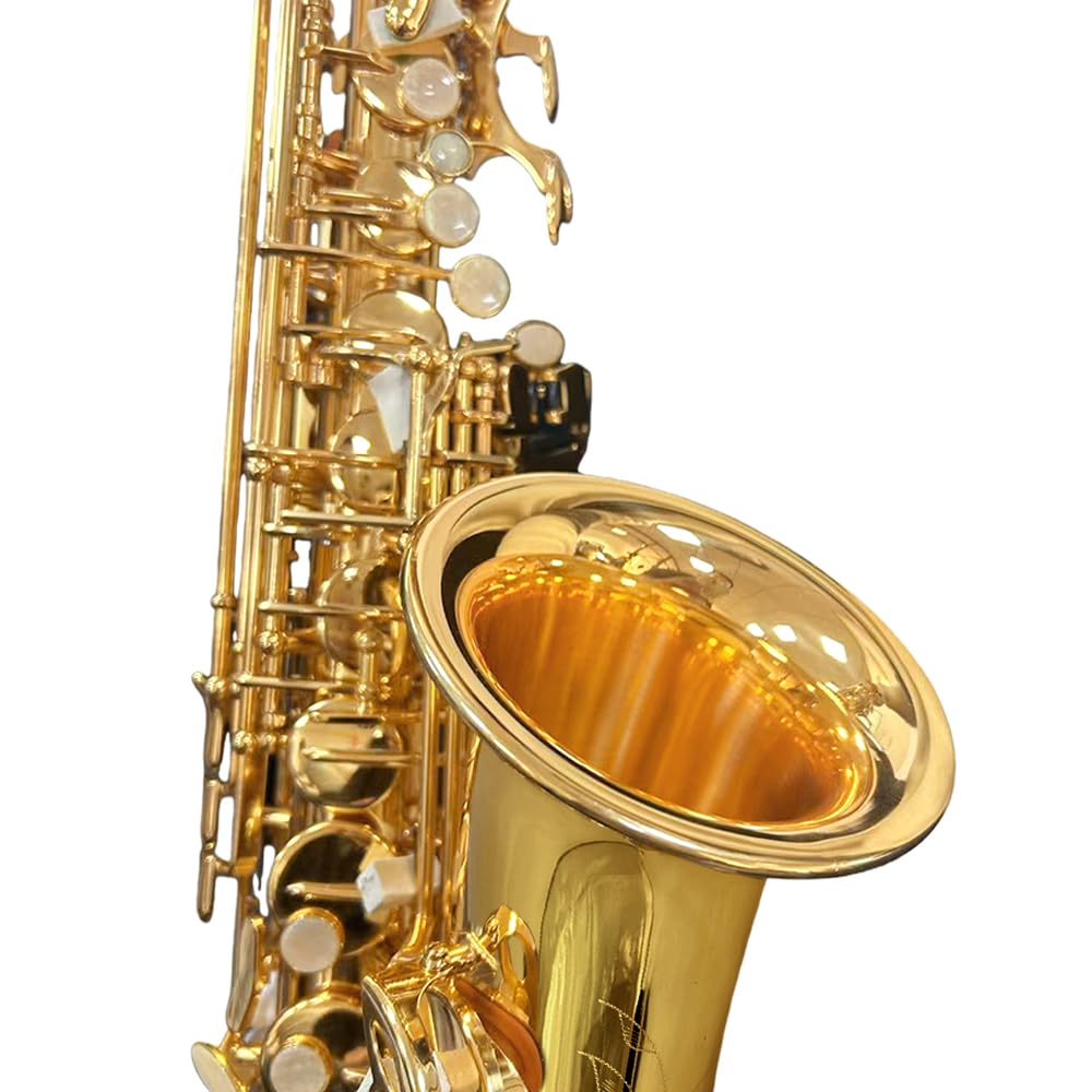 Yinfente Eb Alto Saxophone For Beginners Adult,Saxophone Student,E Flat Alto Sax Full Kit With Reeds,Pads Cushions,Hard Carrying Case,Cleaning Cloth & Rod,Mouthpiece,Gloves,Neck Strap Gold