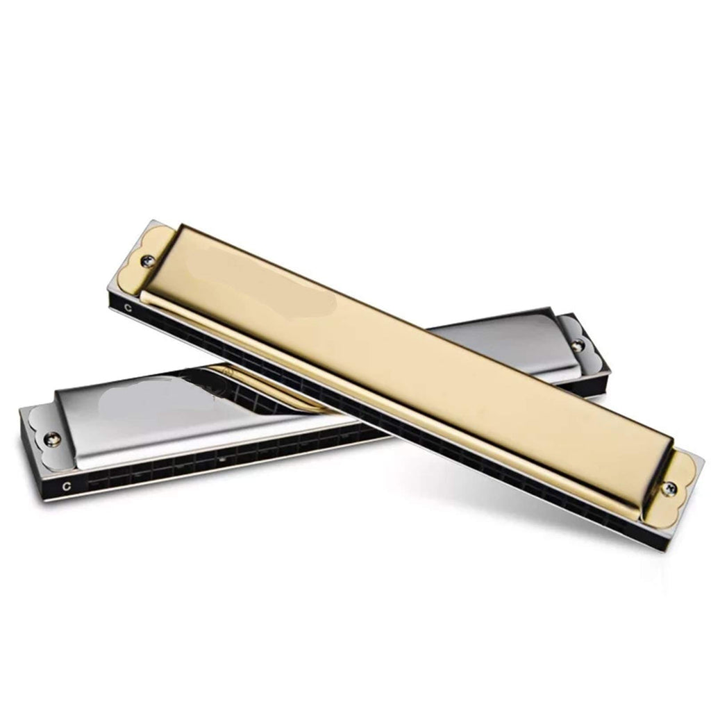 Tremolo 24 Holes Harmonica Professional Mouth Organ harp Instrumentos Key C ABS Comb Musical Instruments (Color : Silver Color 12pcs)