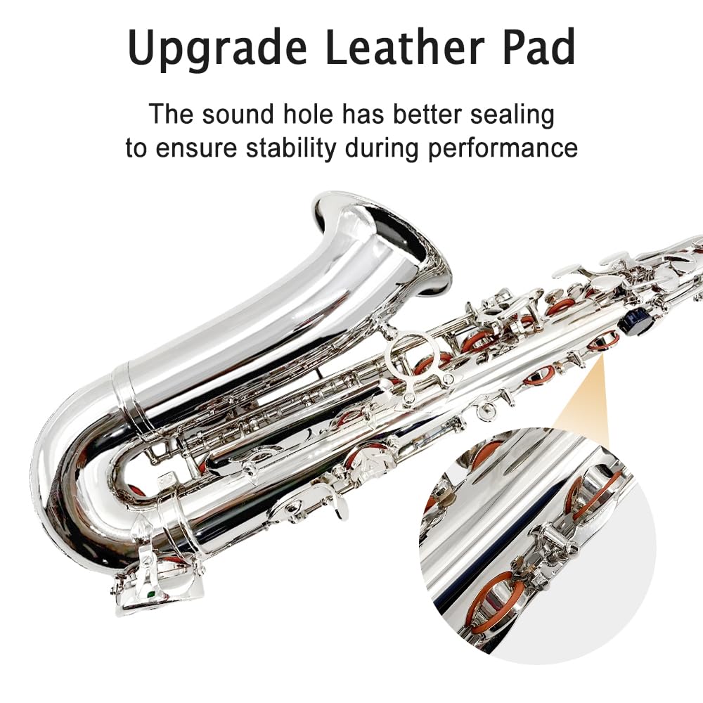 Student Eb Alto Saxophone E Flat for Beginners Sax Full Kit with Pads Cushions,Hard Carrying Case,Neck Strap,Reeds,Cleaning Cloth & Rod,Mouthpiece,Gloves