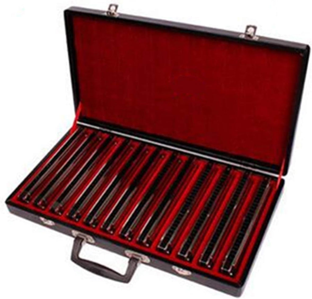 12Pcs/set Harmonica 24 Hole Tremolo Mouth Organ Sliver Color Woodwind Musical Instrument with Gift Box for Collect Gaita