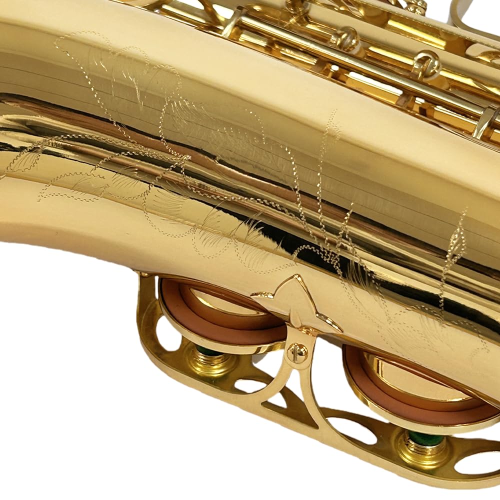 Yinfente Eb Alto Saxophone For Beginners Adult,Saxophone Student,E Flat Alto Sax Full Kit With Reeds,Pads Cushions,Hard Carrying Case,Cleaning Cloth & Rod,Mouthpiece,Gloves,Neck Strap Gold