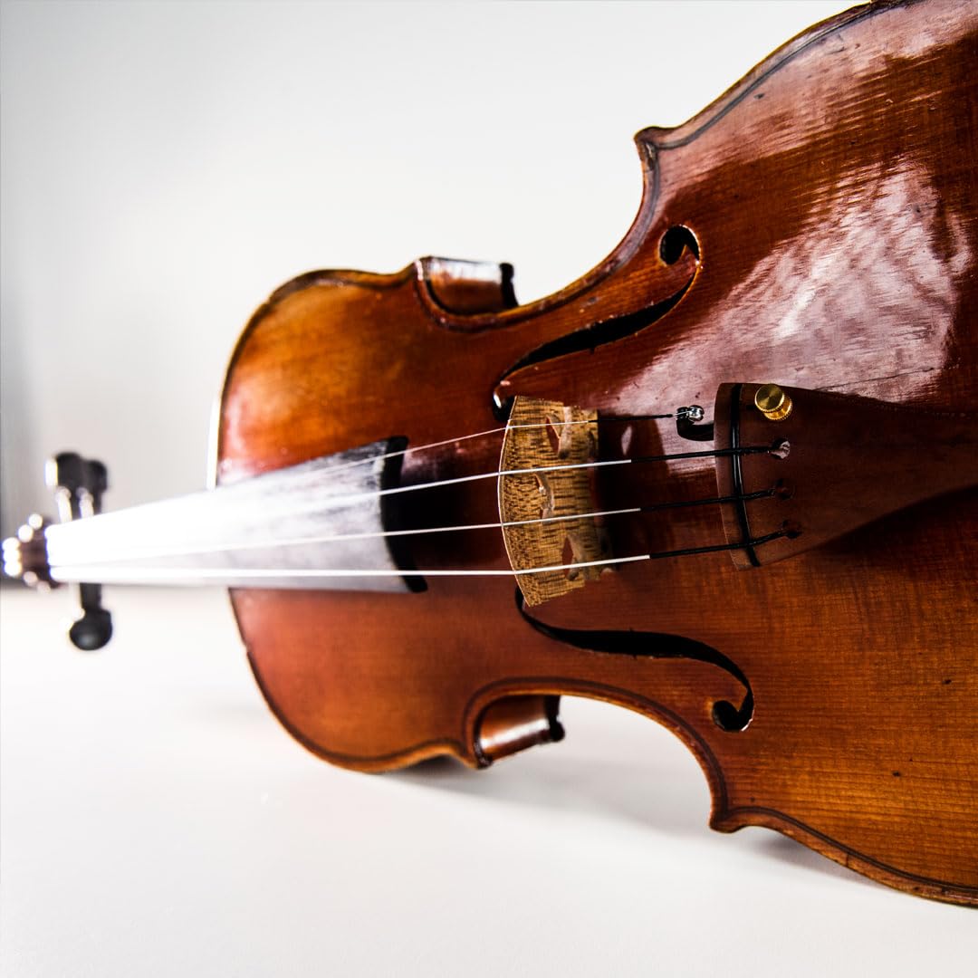 Thomastik-Infeld Dominant Pro Violin Strings DP100, 4/4 Synthetic Core Set for Advanced Violinists - Tin-Plated E, Aluminum A, Silver D&G - Powerful, Balanced with Broad Sound Colors - Made in Vienna