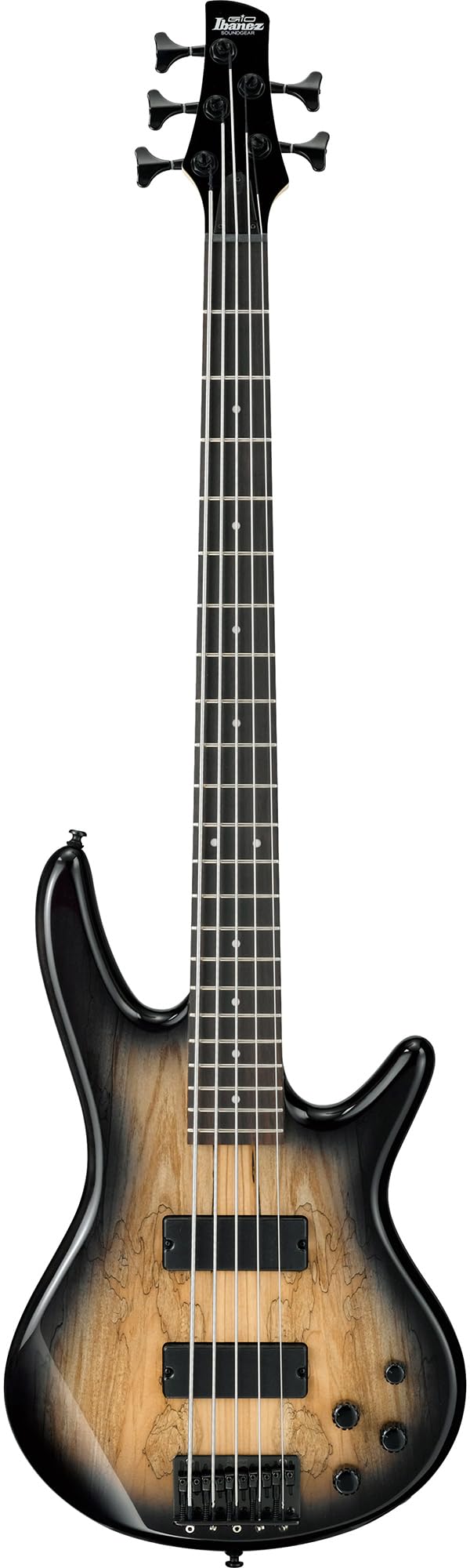 Ibanez GSR205B SR Gio 5-String Bass Guitar - Walnut Flat Bundle with Gig Bag, Tuner, Strap, Cable, Austin Bazaar Instructional DVD, and Polishing Cloth