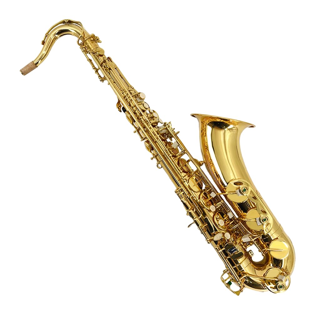 Yinfente Eb Alto Saxophone For Beginners Adult,Saxophone Student,E Flat Alto Sax Full Kit With Reeds,Pads Cushions,Hard Carrying Case,Cleaning Cloth & Rod,Mouthpiece,Gloves,Neck Strap Gold