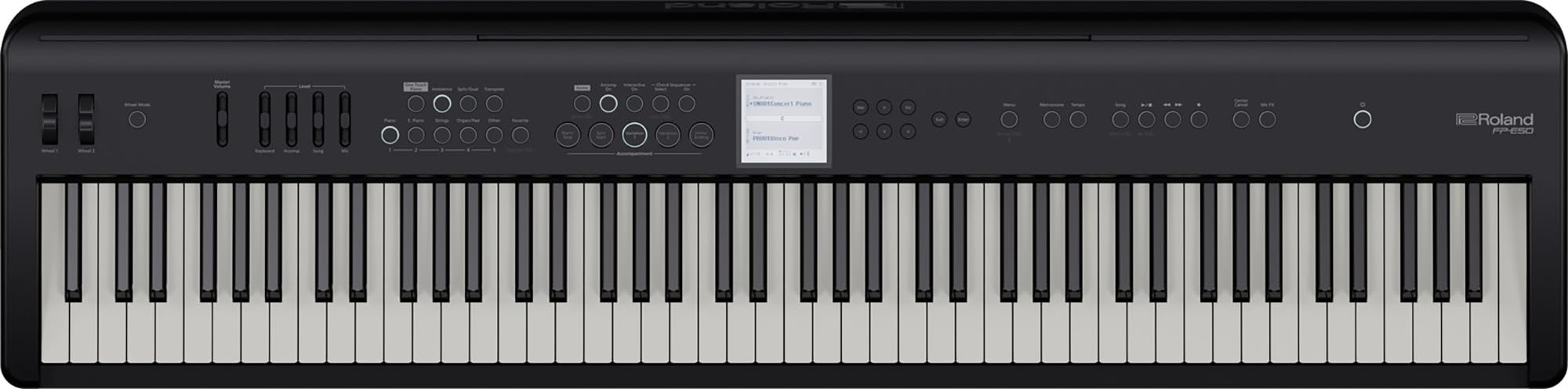 Roland FP-E50 88-Key Digital Piano Bundle with Sustain Pedal, Cover, Cable, Austin Bazaar Instructional Video and Polishing Cloth
