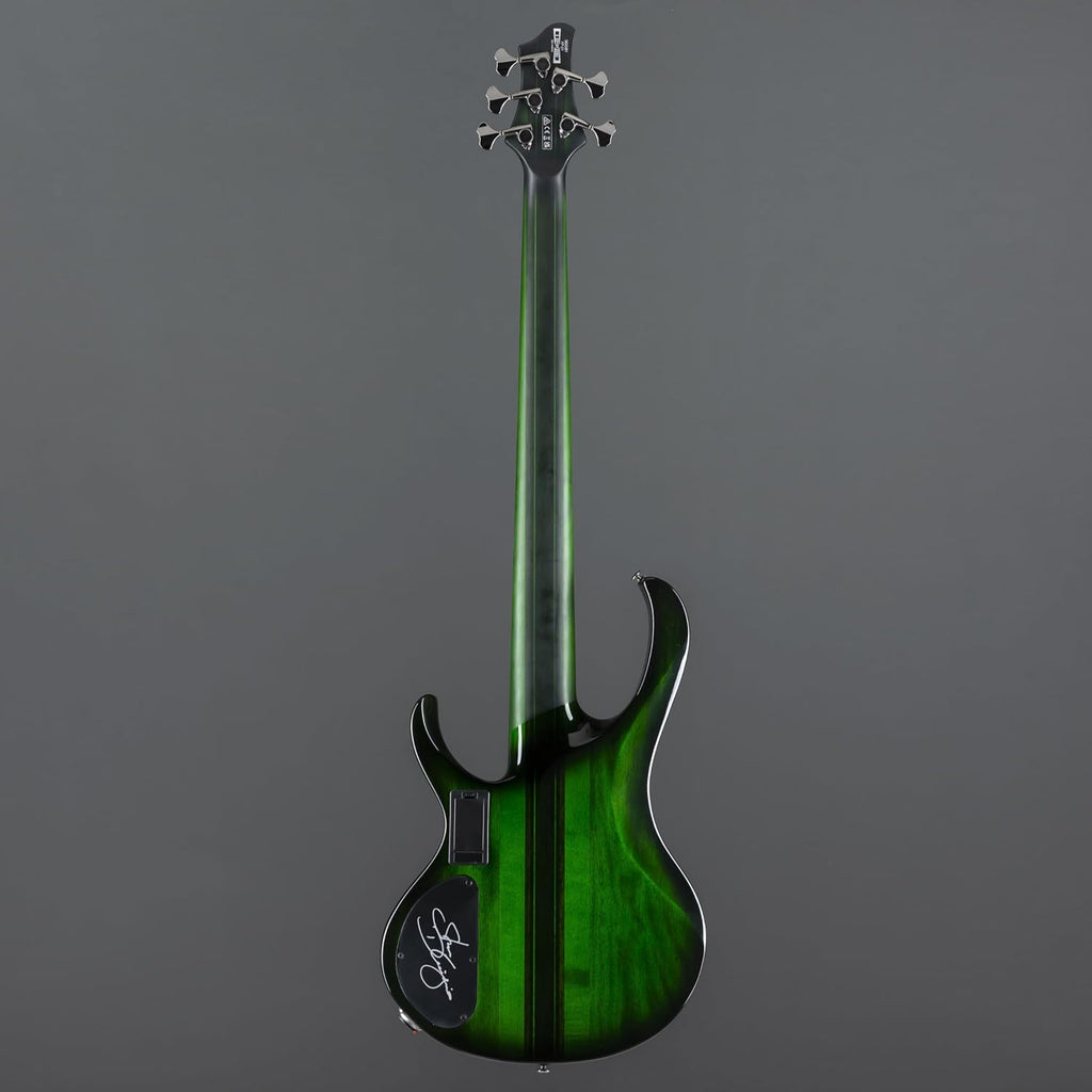 Ibanez Steve Di Giorgio SDGB1 Signature 5-string Fretless Bass Guitar - Dark Moss Burst