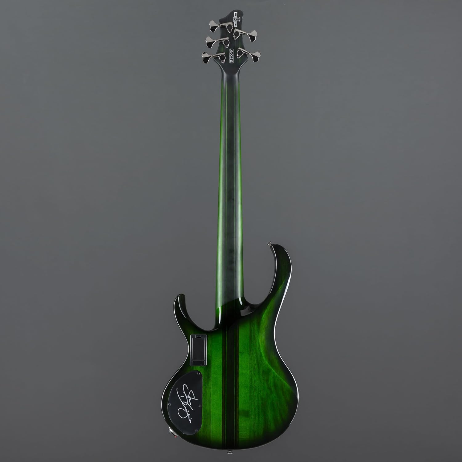 Ibanez Steve Di Giorgio SDGB1 Signature 5-string Fretless Bass Guitar - Dark Moss Burst