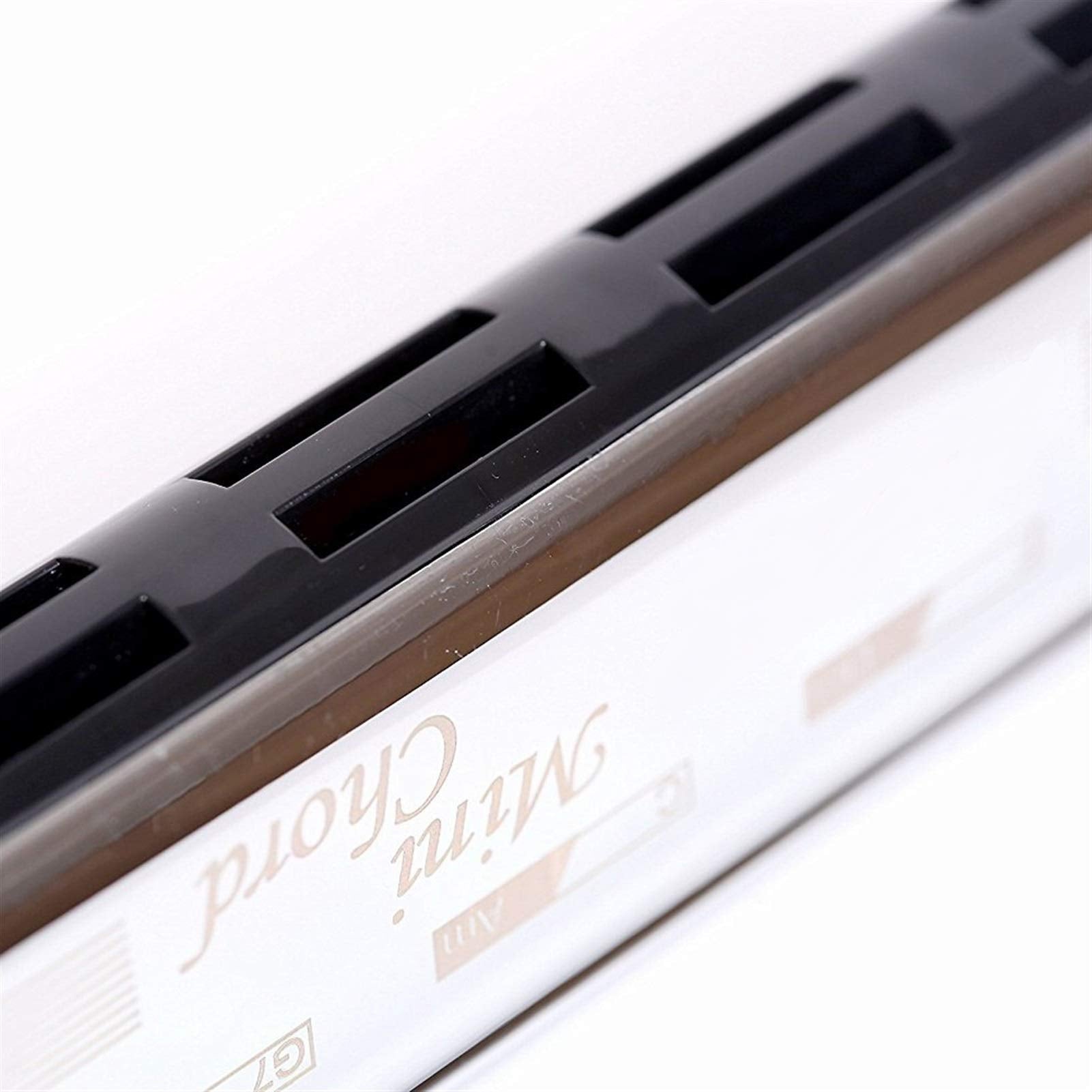 Chord Harmonica 10 Holes Pocket Chord Orchestral Mouth Organ Professional Performance Musical Instruments
