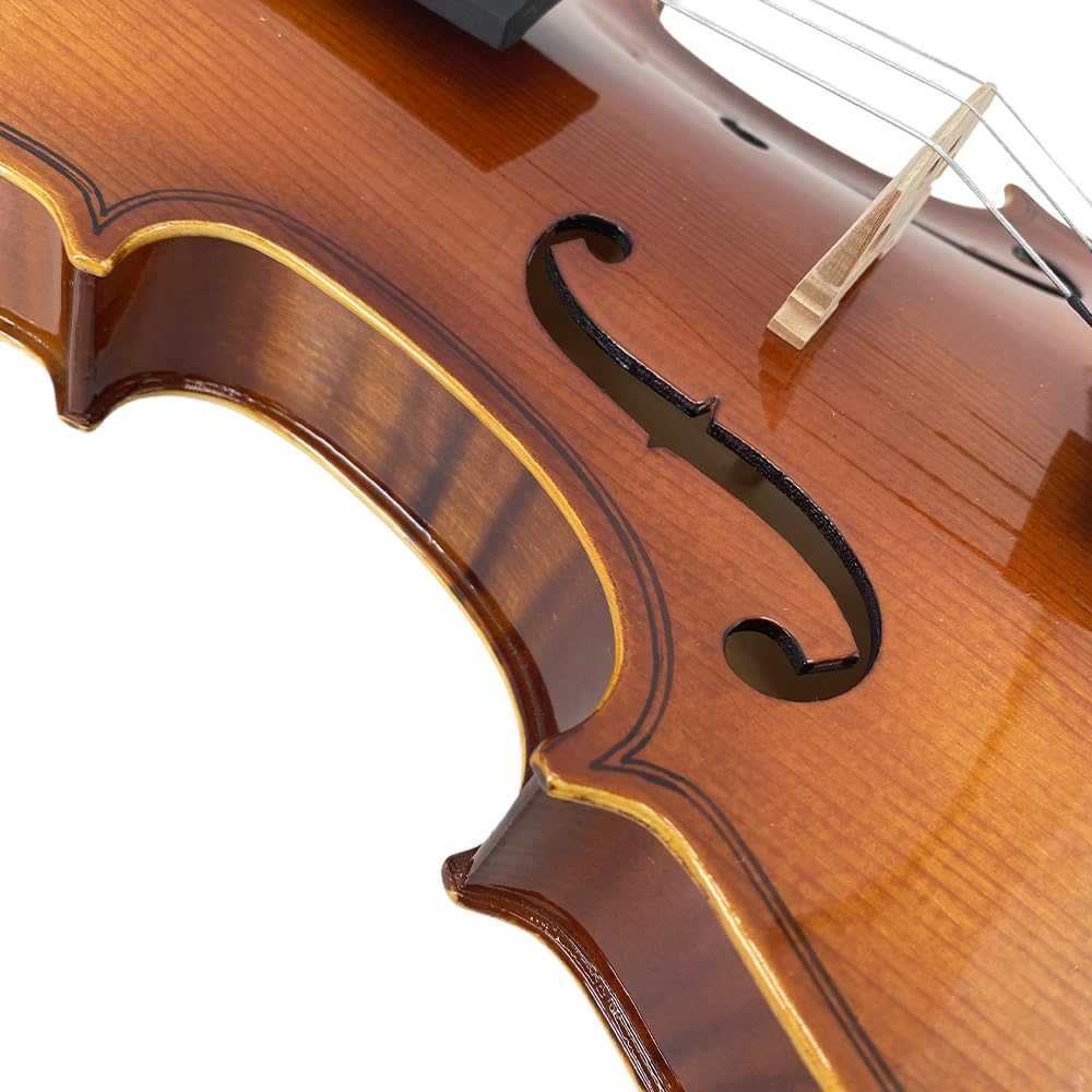 1/2 Violin Set for Beginners Violin Fiddle Set for Beginners with Shoulder Rest Bow Bridge Hard Case and Extra 4strings