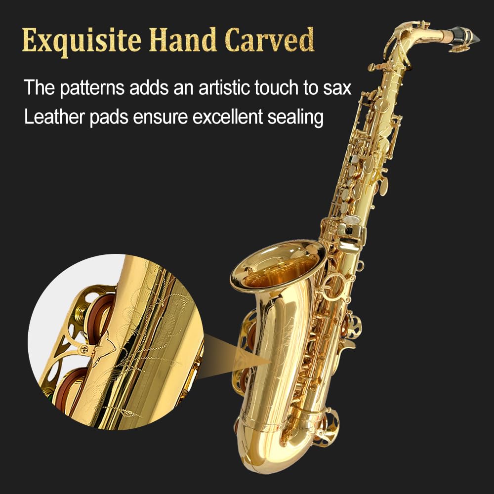 Beginner Alto Saxophone, E Flat - Complete Starter Kit with Case & 10 Reeds, for Adults & Students, Easy to Play for School Band & Practice(Gold)