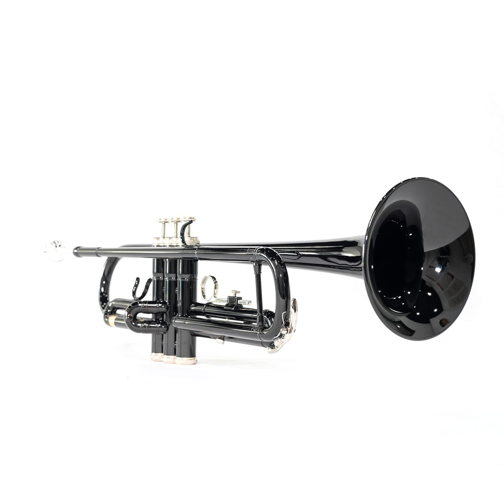 LeSage Bb Standard Trumpet Set for Beginner, Brass Student Trumpet with Carrying Case, Care Kit, Valve Oil, Cloth, 7C Mouthpiece & Gloves Silver