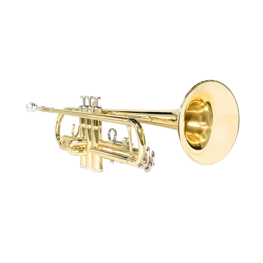 LeSage Bb Standard Trumpet Set for Beginner, Brass Student Trumpet with Carrying Case, Care Kit, Valve Oil, Cloth, 7C Mouthpiece & Gloves Silver