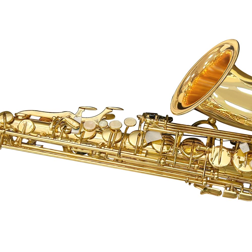 Yinfente Eb Alto Saxophone For Beginners Adult,Saxophone Student,E Flat Alto Sax Full Kit With Reeds,Pads Cushions,Hard Carrying Case,Cleaning Cloth & Rod,Mouthpiece,Gloves,Neck Strap Gold