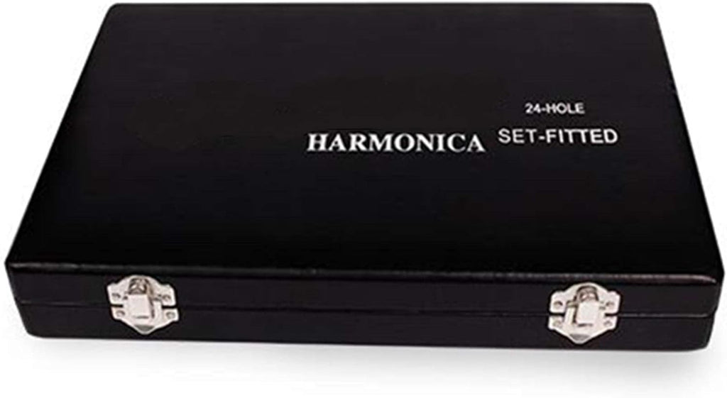 12Pcs/set Harmonica 24 Hole Tremolo Mouth Organ Sliver Color Woodwind Musical Instrument with Gift Box for Collect Gaita