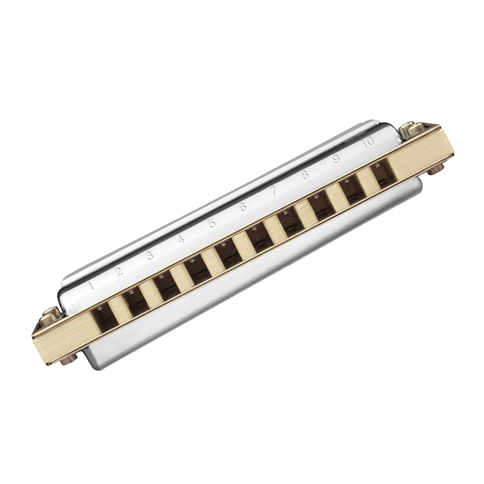 Diatonic Harmonica 10 Hole 20 Tones Blues Harp Mouth Organ Instrumentos Diatonic Key of C Musical Instruments (Color : Key of Low G)
