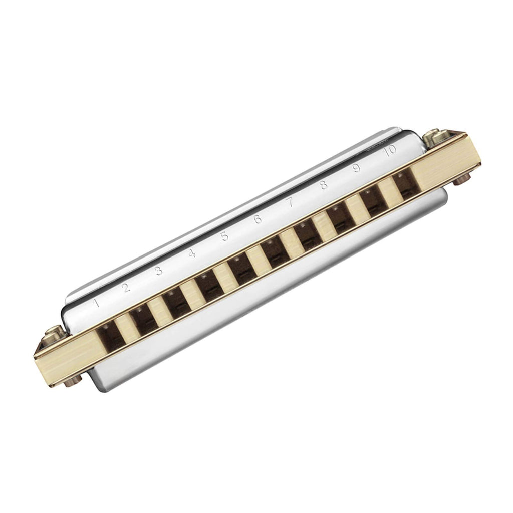 Diatonic Harmonica 10 Hole 20 Tones Blues Harp Mouth Organ Instrumentos Diatonic Key of C Musical Instruments (Color : Key of Low G)