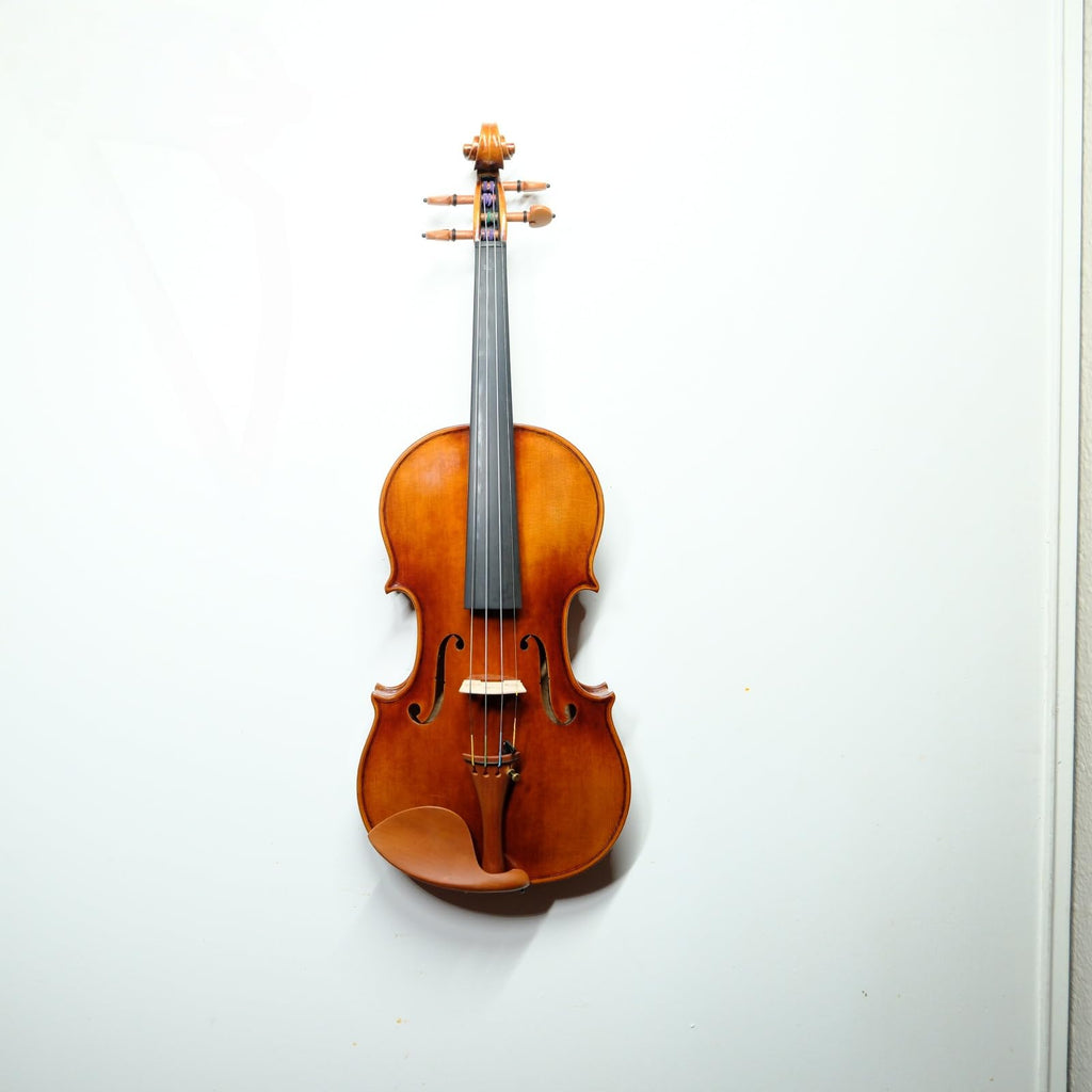 Master 4/4 Full-Size Violin | Hand-Varnished with 20+ Year Aged Italian Spruce & Bosnian Maple | Professional Orchestra Instrument for Professional soloists and session players (VIO1328)
