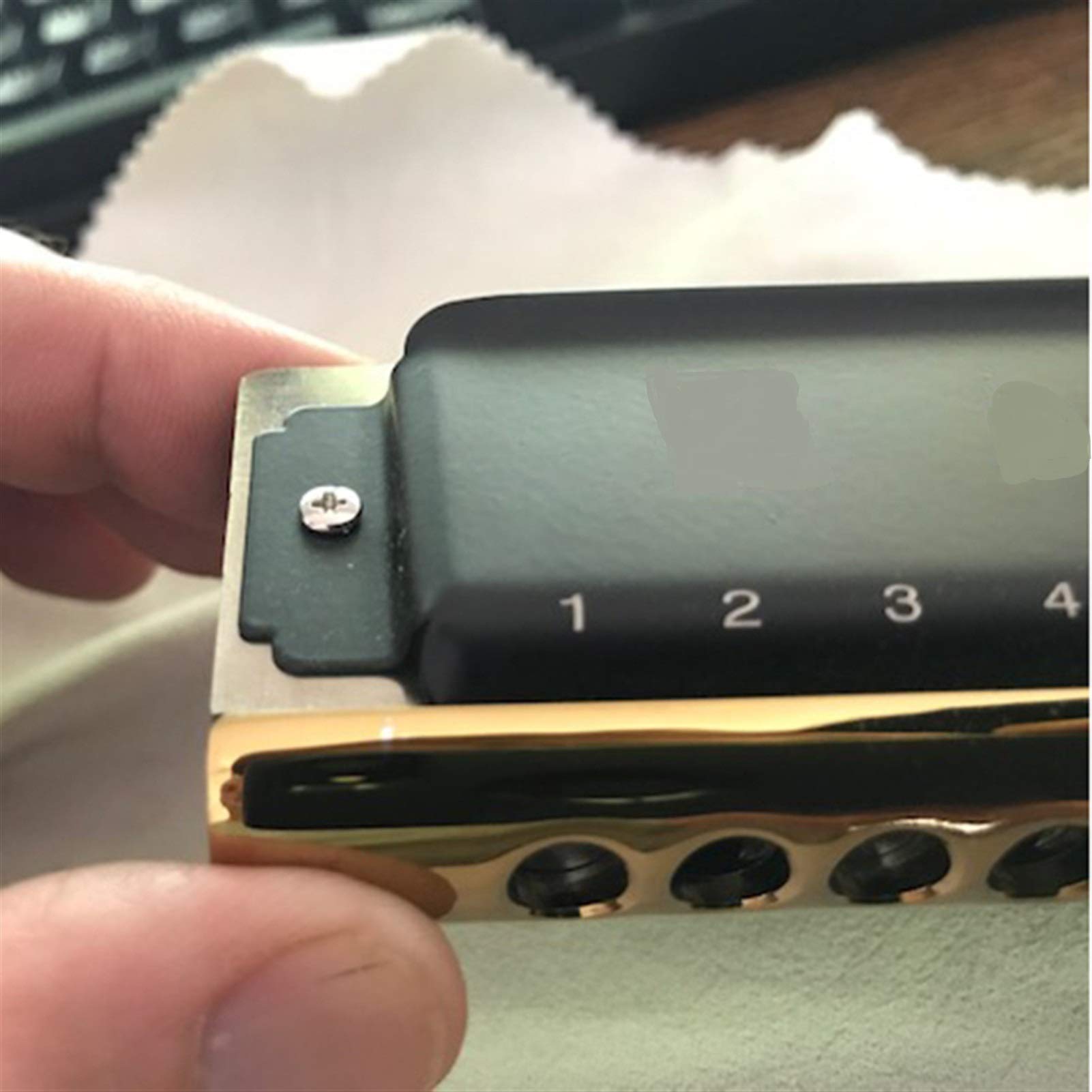Harmonica 12 Holes Diatonic Harp Instrumento Mouth Organ Musical Instruments Windwood