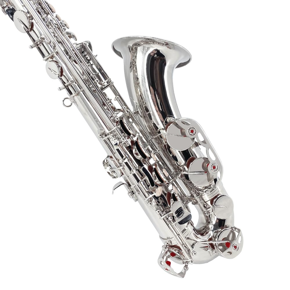 Beginner Alto Saxophone, E Flat - Complete Starter Kit with Case & 10 Reeds, for Adults & Students, Easy to Play for School Band & Practice(Gold)