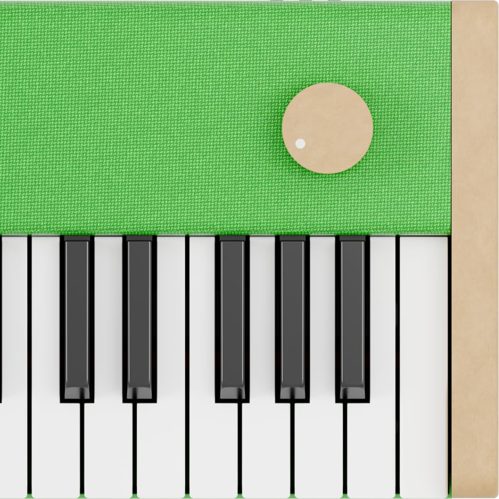 Loog digital piano - portable keyboard for beginners with musician grade sound, MIDI over USB-C rechargeable musical educational instrument