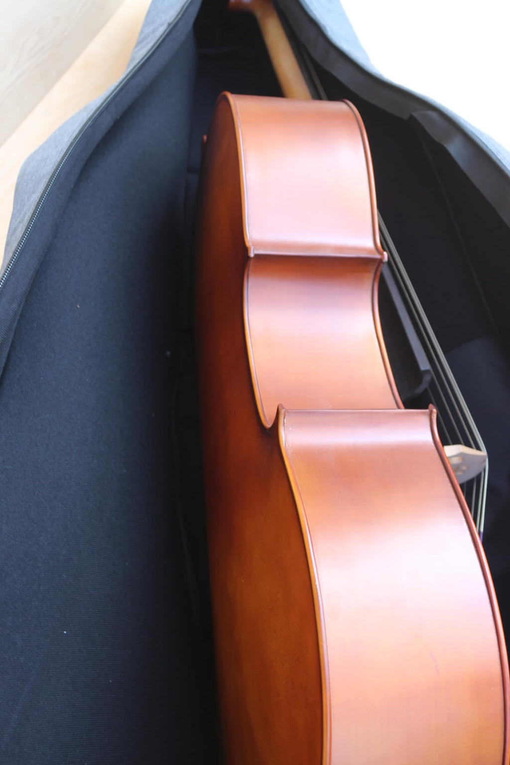 Cello Gig Bag, 4/4 Size, Nylon Exterior, 20mm Thick Foam Padding, Adjustable Backstraps, Multiple Pockets, Front Accessory Storage, Back Sheet Music Pocket, Cello travel soft case (Black)