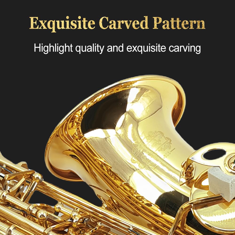 Student Eb Alto Saxophone E Flat for Beginners Sax Full Kit with Pads Cushions,Hard Carrying Case,Neck Strap,Reeds,Cleaning Cloth & Rod,Mouthpiece,Gloves