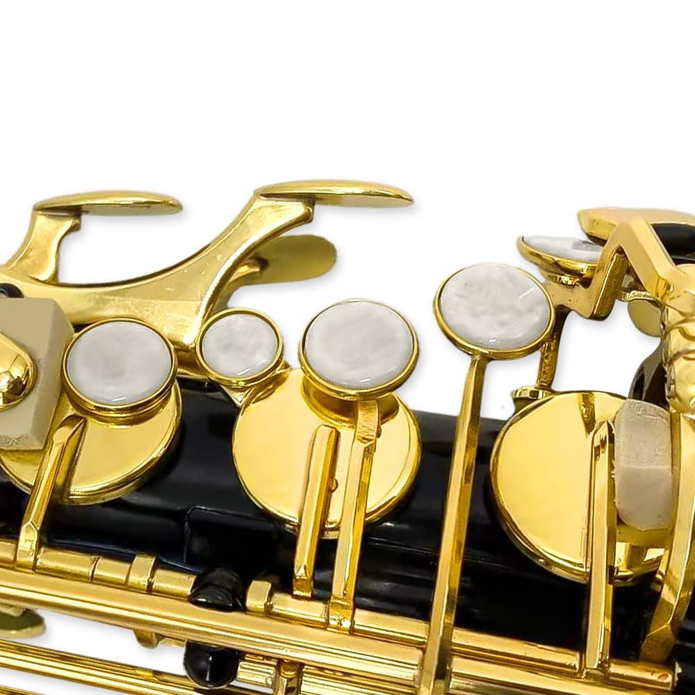 Yinfente Eb Alto Saxophone For Beginners Adult,Saxophone Student,E Flat Alto Sax Full Kit With Reeds,Pads Cushions,Hard Carrying Case,Cleaning Cloth & Rod,Mouthpiece,Gloves,Neck Strap Gold