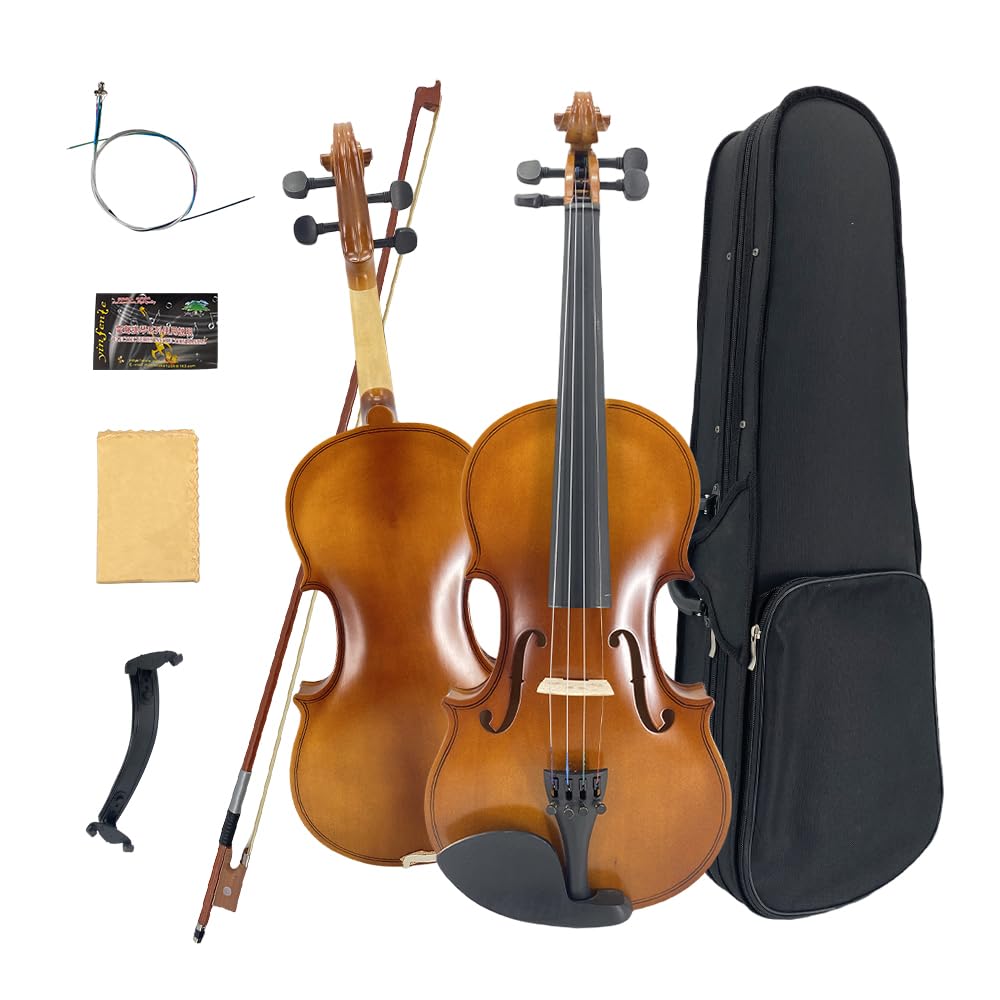 4/4 Violin for Beginners & Adults, Full Size Solid Wood Acoustic Violin with Flamed Back, Case, Bow,Shoulder Rest & Accessories Glossy Finish