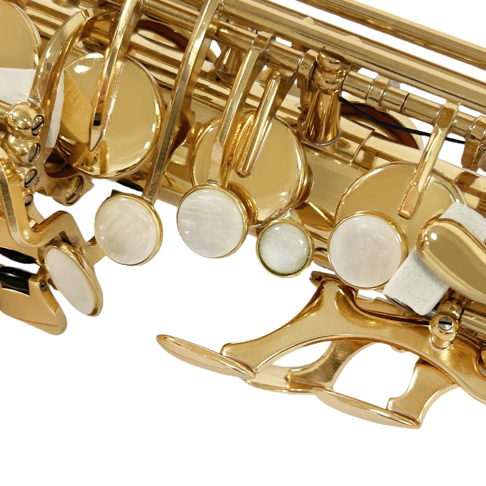 Yinfente Eb Alto Saxophone For Beginners Adult,Saxophone Student,E Flat Alto Sax Full Kit With Reeds,Pads Cushions,Hard Carrying Case,Cleaning Cloth & Rod,Mouthpiece,Gloves,Neck Strap Gold